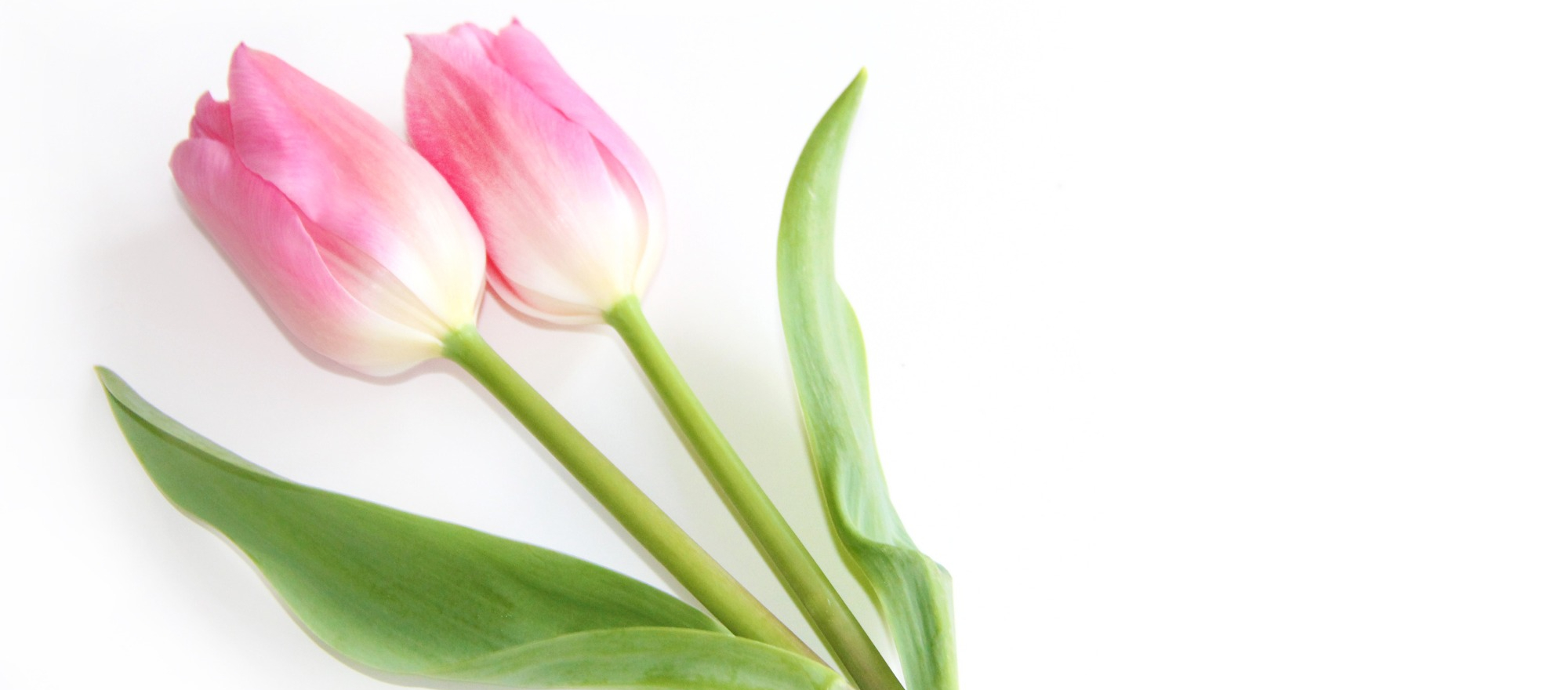 たけうちレディースケアクリニック 三重県桑名市寿町の婦人科 たけうちレディースケアクリニック 三重県桑名市寿町の婦人科