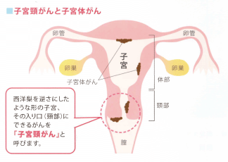 桑名市寿町の婦人科,たけうちレディースケアクリニック